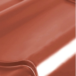 3009
