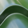 Juniper Green